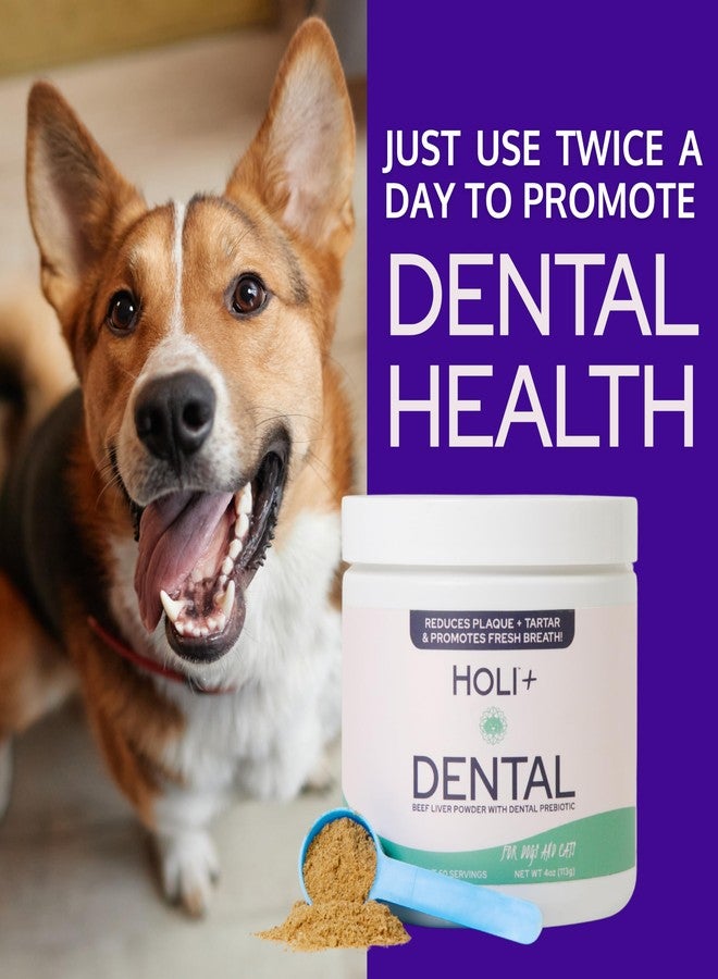 HOLI Dental Powder for Dogs – Prebiotic Plaque & Tartar Remover with Protektin44 – Fresh Breath & Gum Health Support – with All Natural, Beef Liver Topper - Image 4